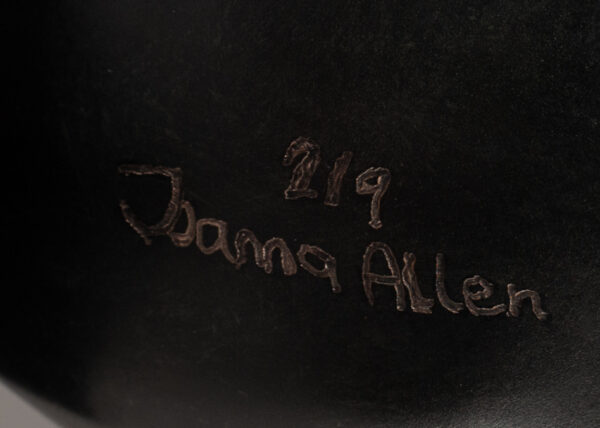 Allen, joanna infinite shell 10