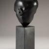 Allen, joanna infinite shell 4
