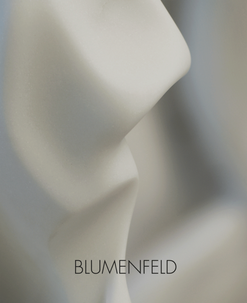 Helaine blumenfeld 2008