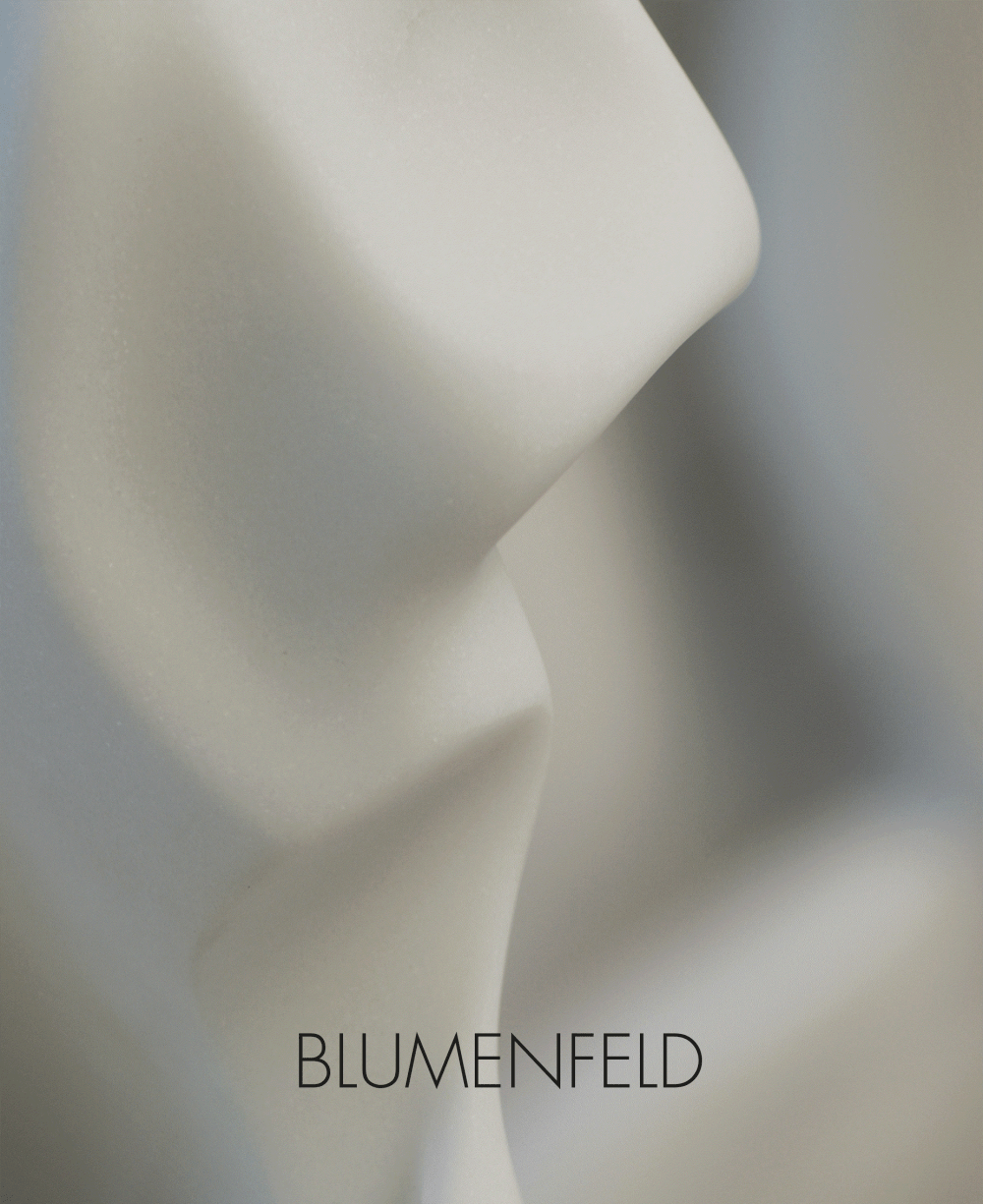 Helaine blumenfeld 2008