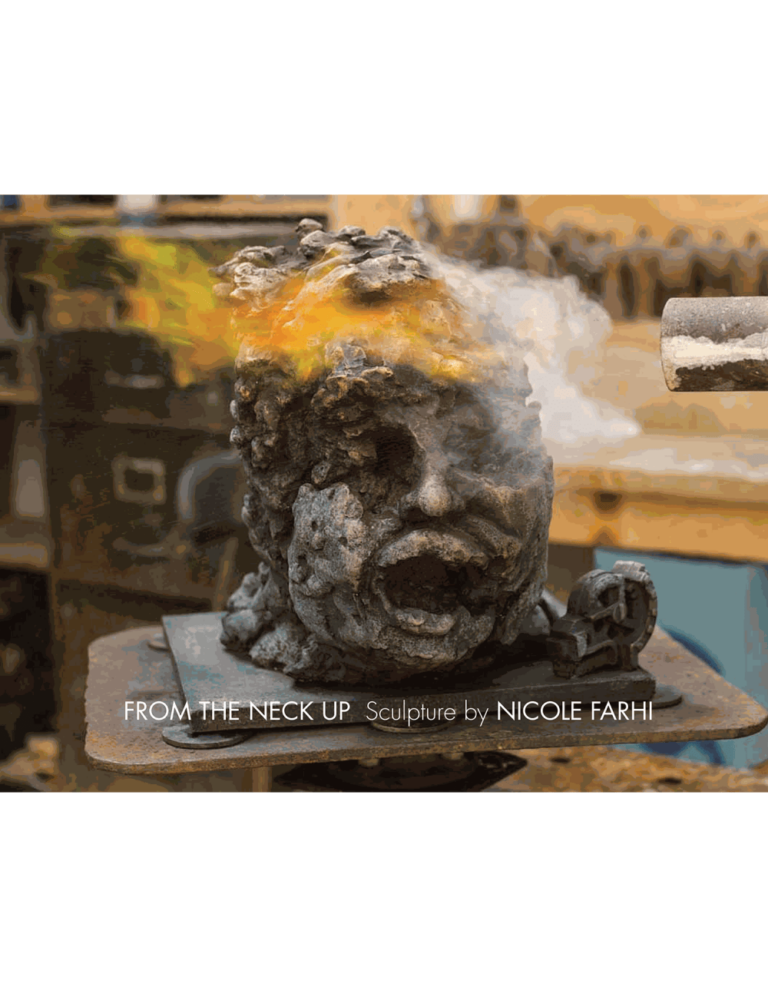 Nicole farhi 2014 1 ed