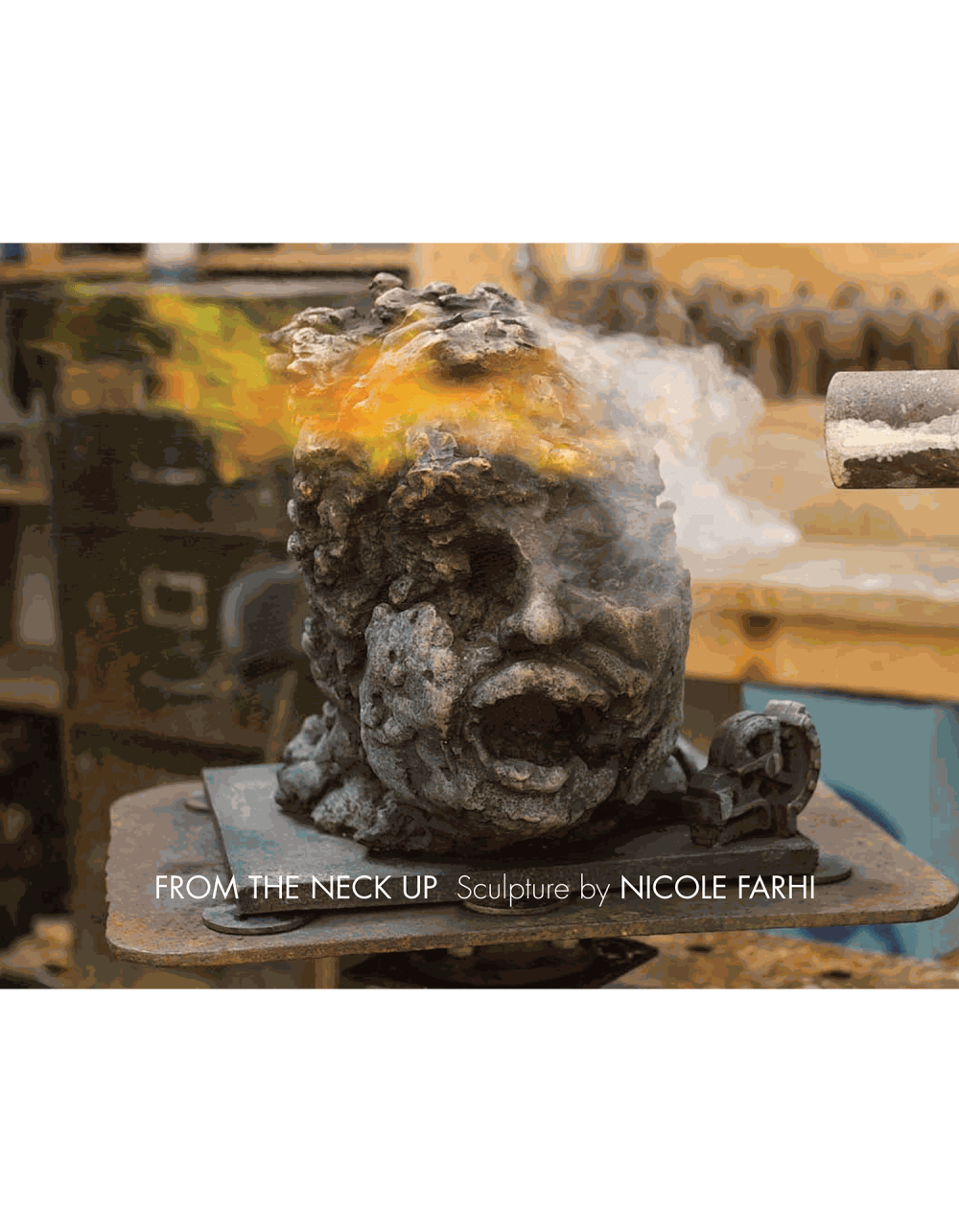 Nicole farhi 2014 1 ed