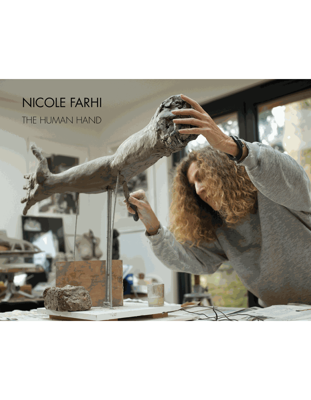 Nicole farhi 2016 1 ed