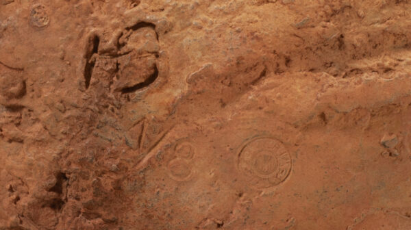 Beaumont, Hanneke Crouching Figure 11