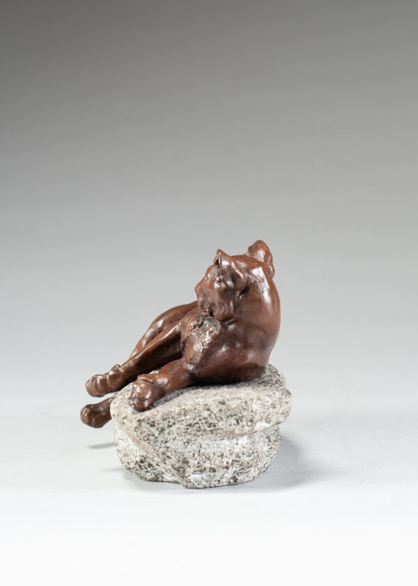 Valton, Charles Resting Lioness 3