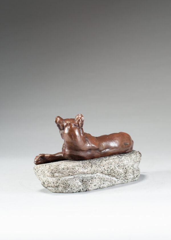 Valton, Charles Resting Lioness 4