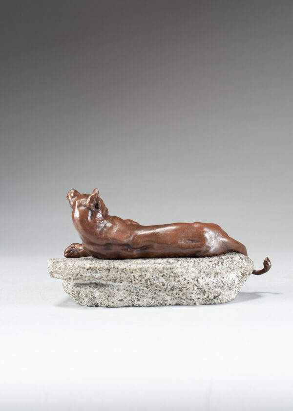 Valton, Charles Resting Lioness 5