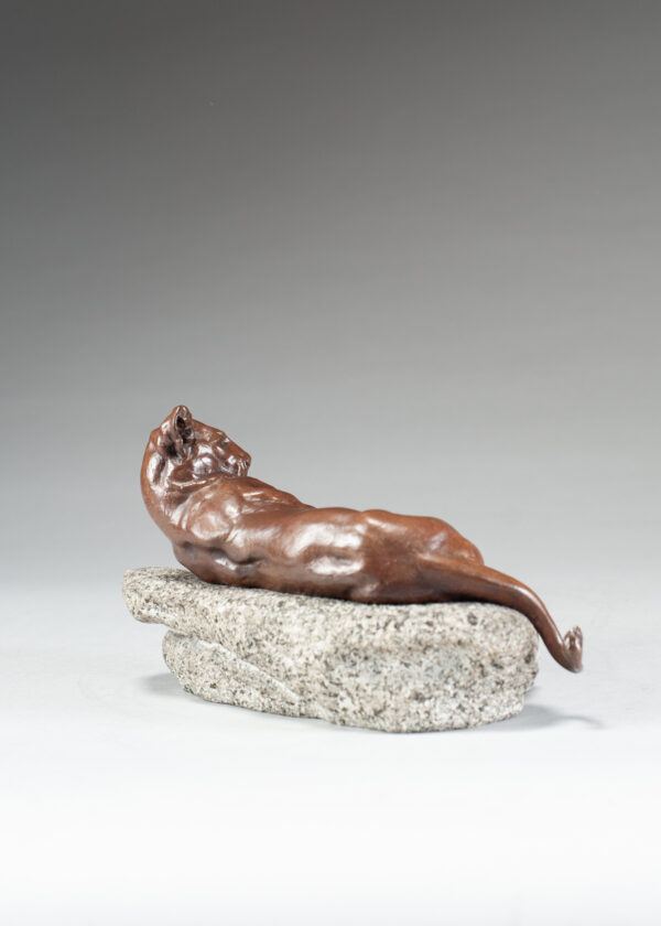 Valton, Charles Resting Lioness 6