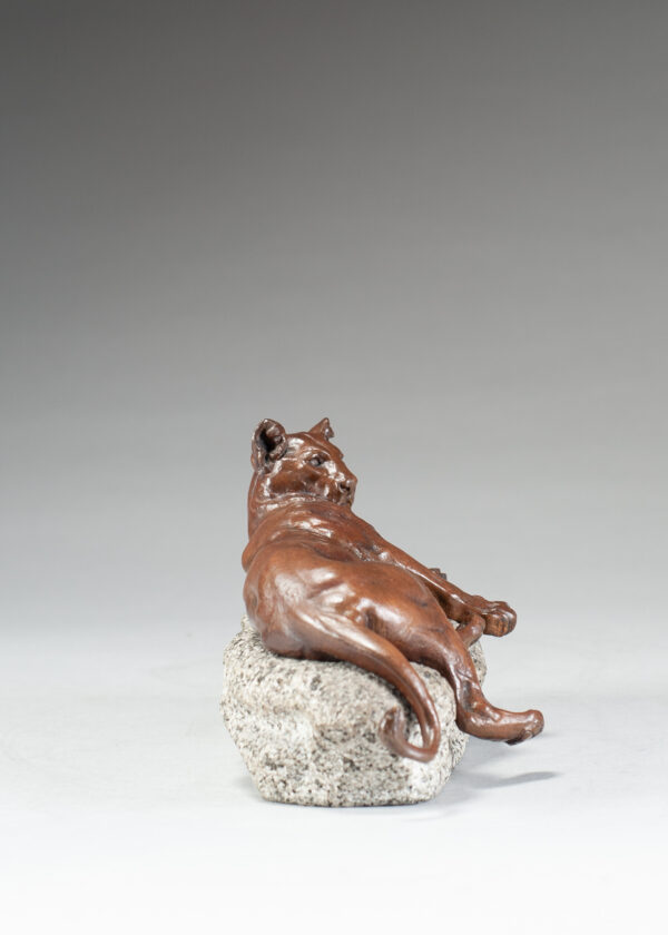 Valton, Charles Resting Lioness 7