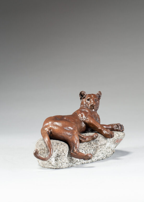 Valton, Charles Resting Lioness 8