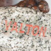Valton, Charles Resting Lioness 9