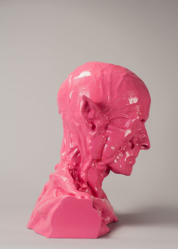 Ford, Alex Anatomy Of A Satyr Pleasure (pink) 2