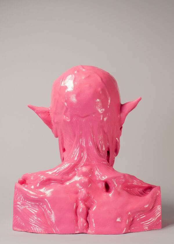 Ford, Alex Anatomy Of A Satyr Pleasure (pink) 3