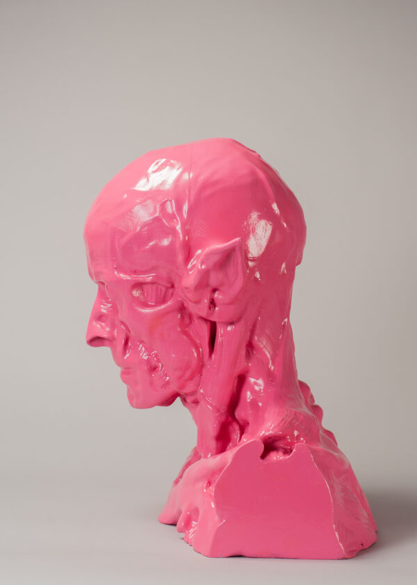 Ford, Alex Anatomy Of A Satyr Pleasure (pink) 4