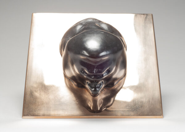 Photographed for bowman sculpture