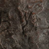 Beaumont, hanneke bronze 158.11