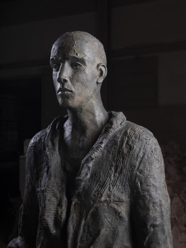 Beaumont, hanneke bronze 161 duality 9