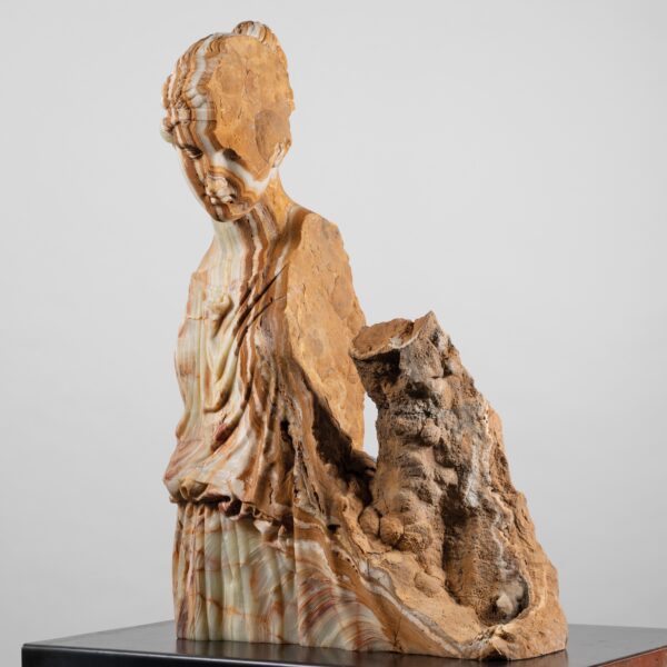 4990 pelletti, massimiliano petrified forest 2
