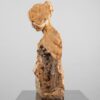 4990 pelletti, massimiliano petrified forest 3