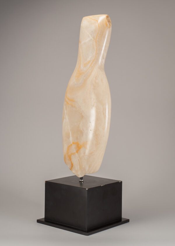 Young, Emily Onyx Torso I