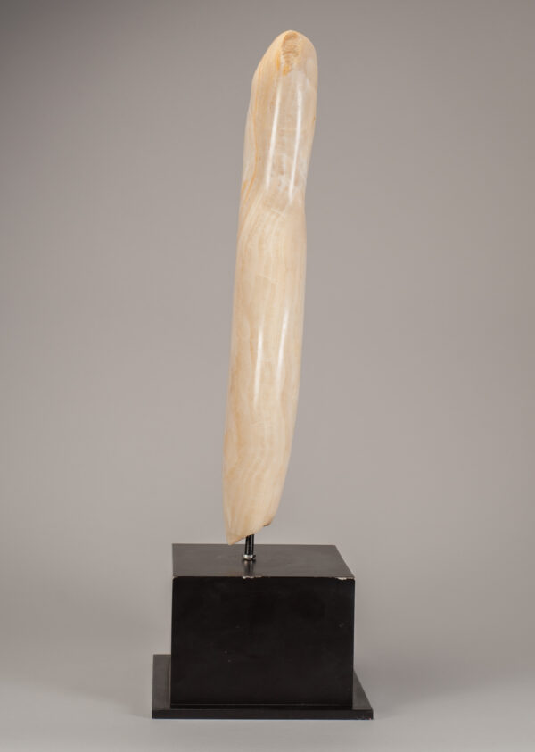 Young, Emily Onyx Torso I