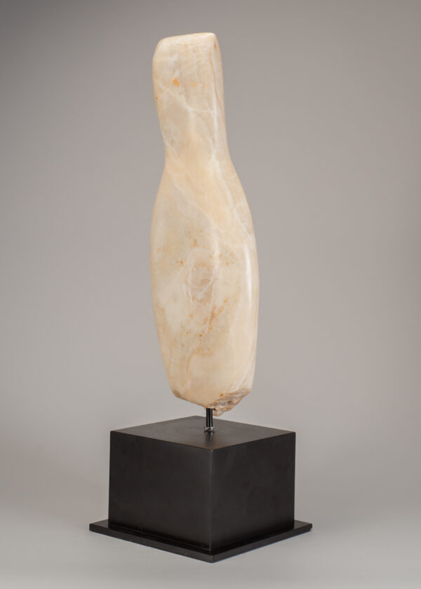 Young, Emily Onyx Torso I