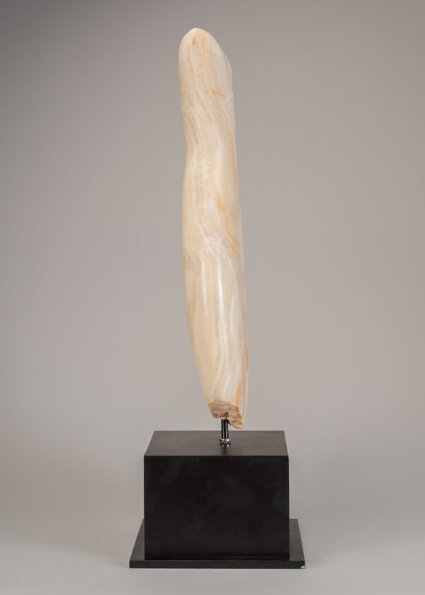 Young, Emily Onyx Torso I