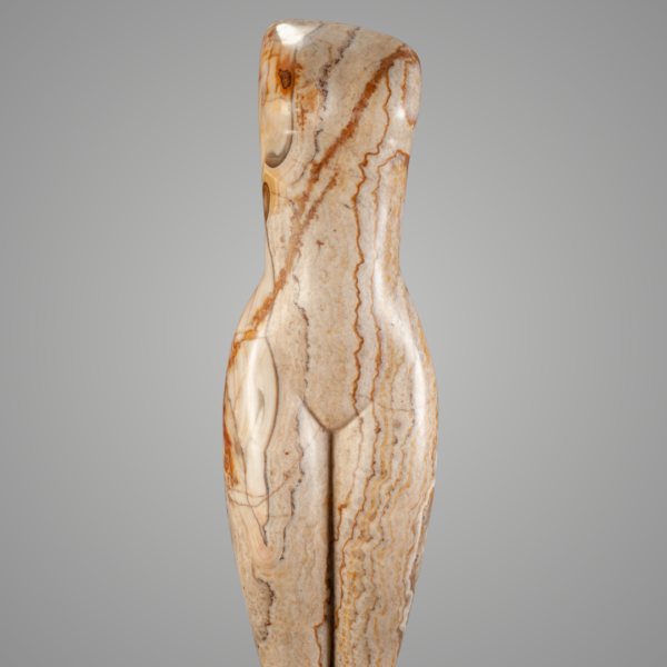 EY Tiger Onyx Torso