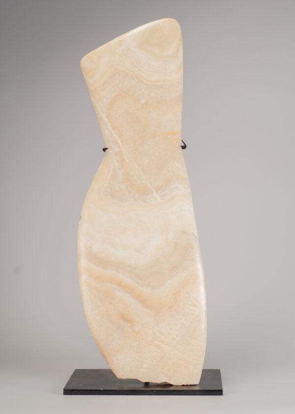 Young, Emily Slim Torso