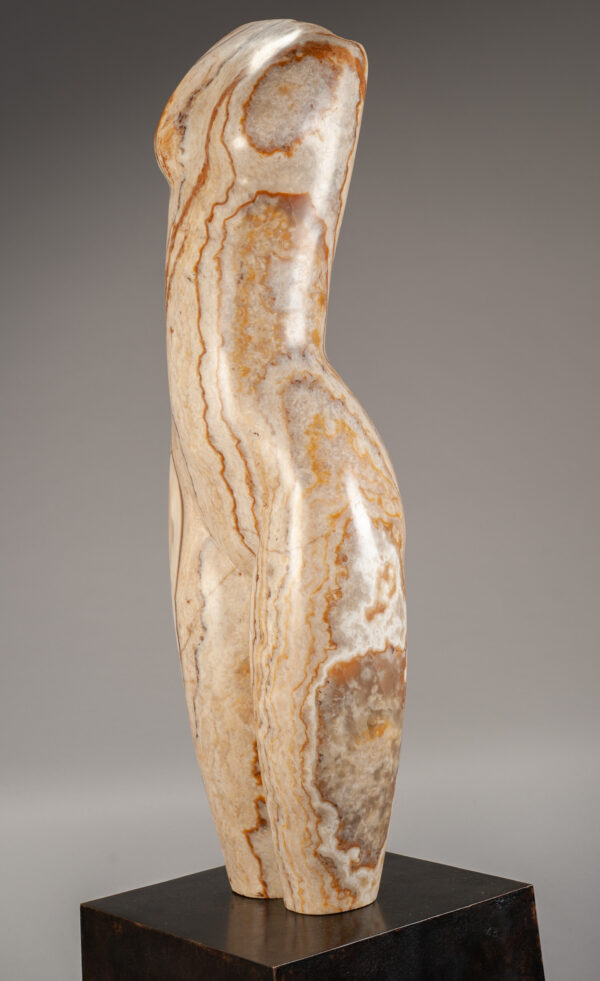 Young, Emily Tiger Onyx Torso