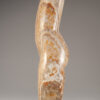Young, Emily Tiger Onyx Torso