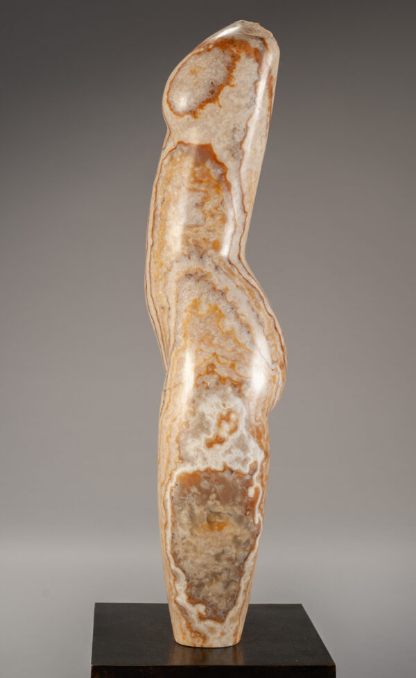 Young, Emily Tiger Onyx Torso