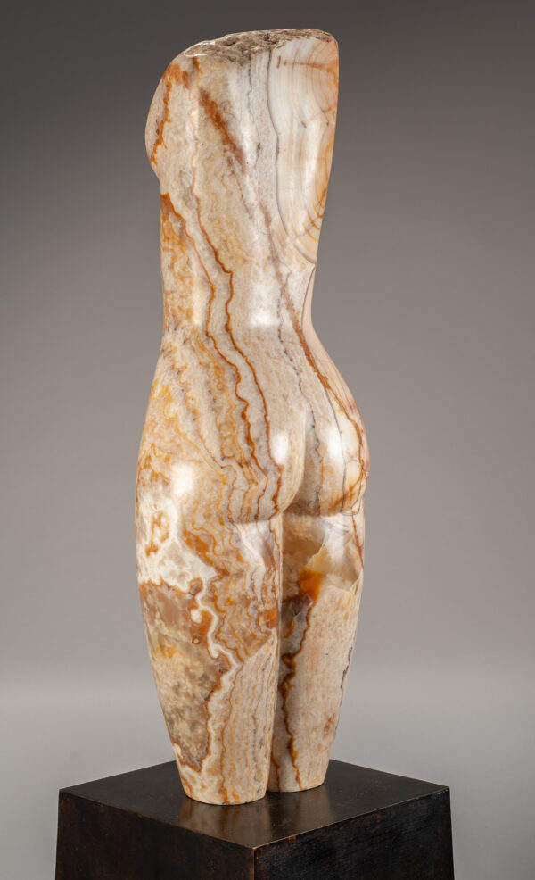 Young, Emily Tiger Onyx Torso