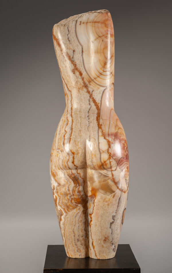 Young, Emily Tiger Onyx Torso