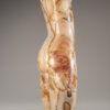 Young, Emily Tiger Onyx Torso
