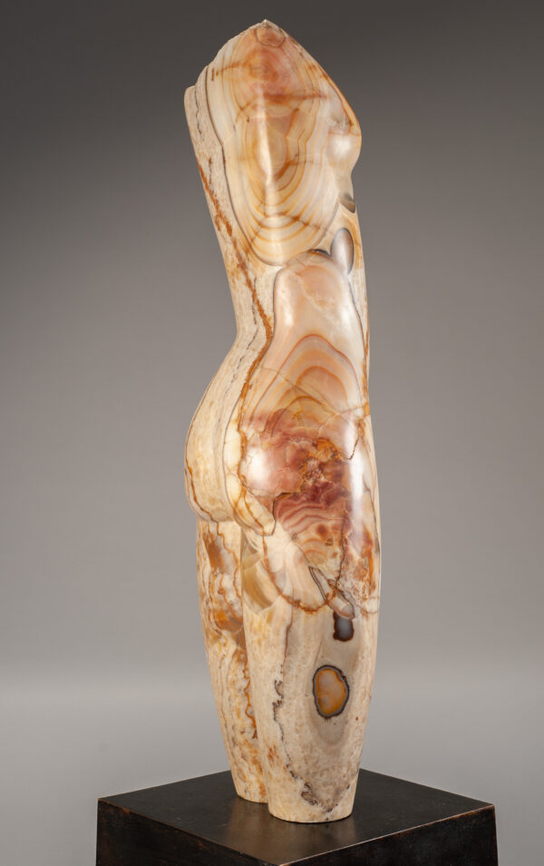 Young, Emily Tiger Onyx Torso