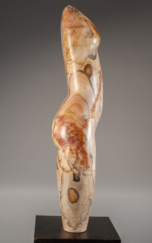 Young, Emily Tiger Onyx Torso