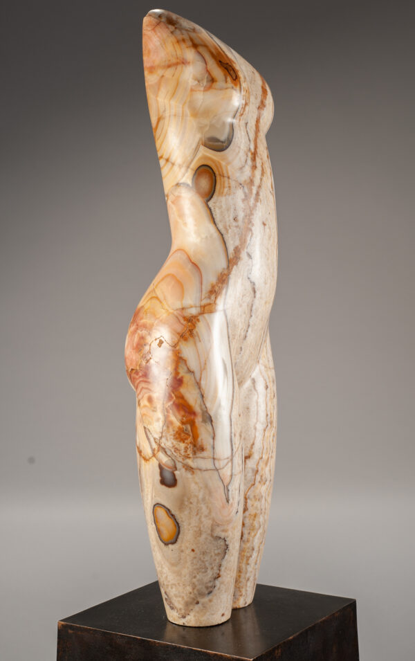 Young, Emily Tiger Onyx Torso